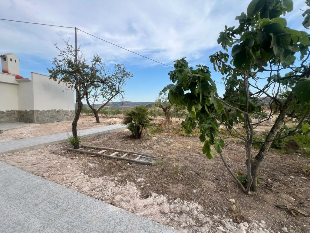 Detached Villa La Solana Alicante - image 10