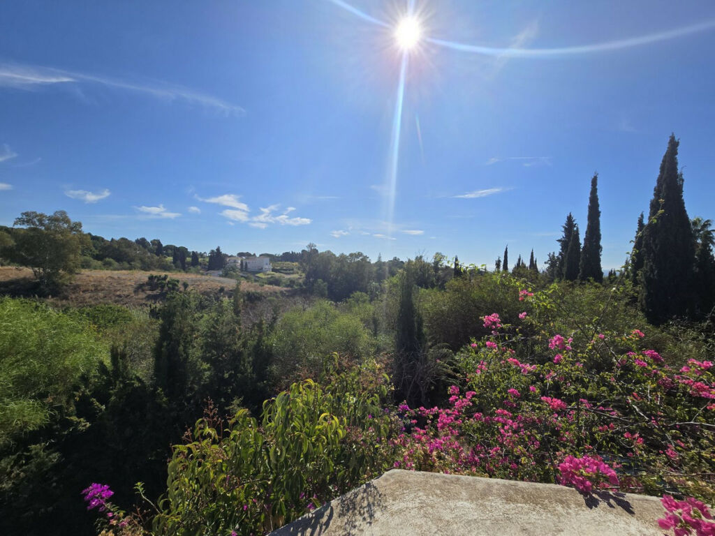 Detached Villa Marbella Málaga - image 10
