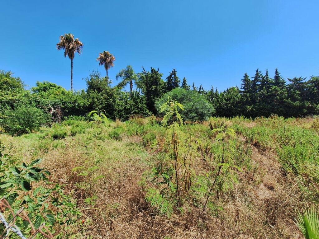 Residential Plot Atalaya Málaga - image 10