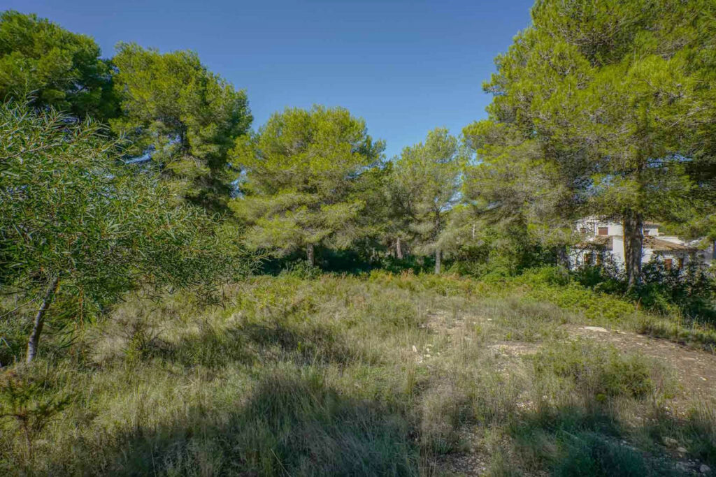 Residential Plot Javea Alicante - image 10