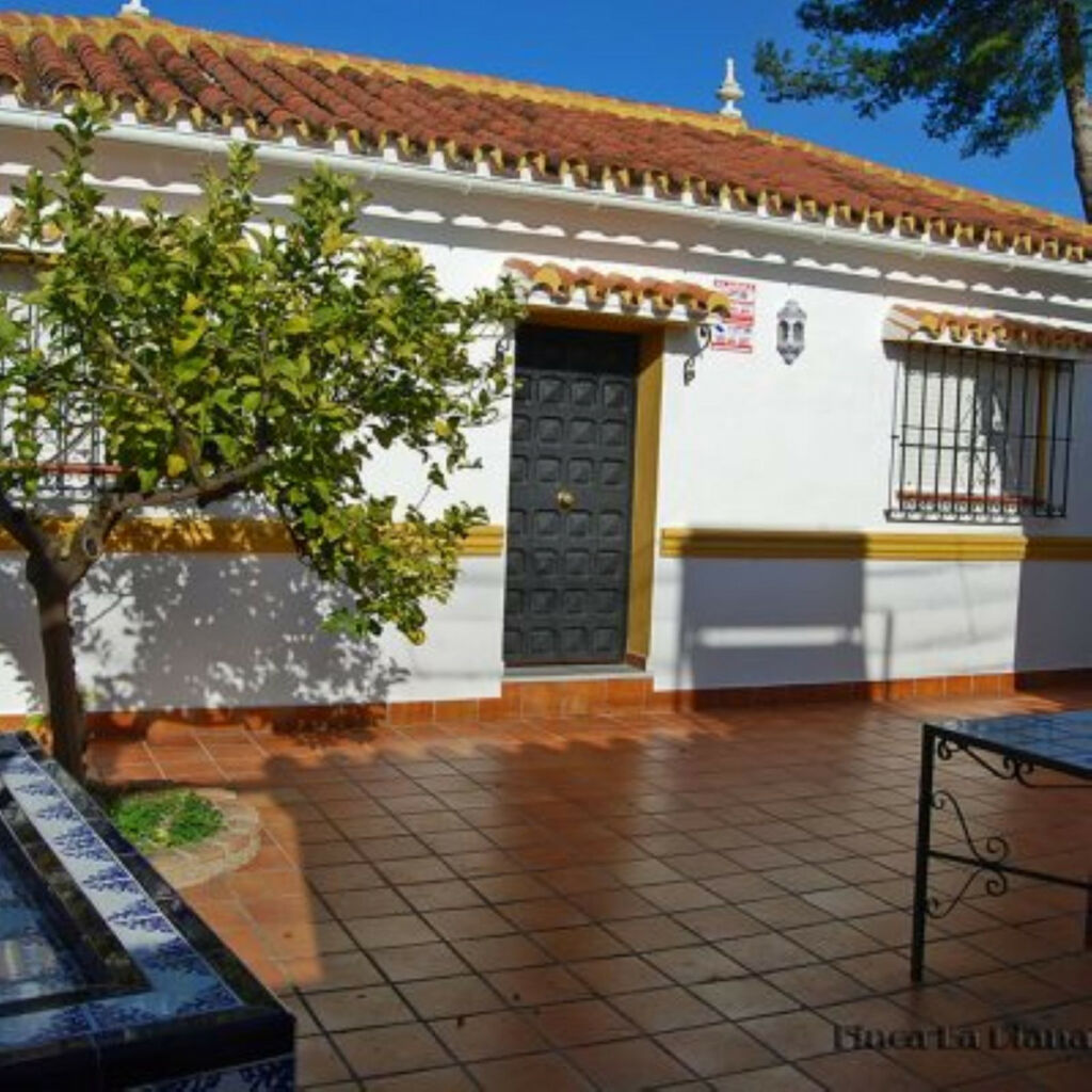 Detached Villa Alhaurín de la Torre Málaga - image 10