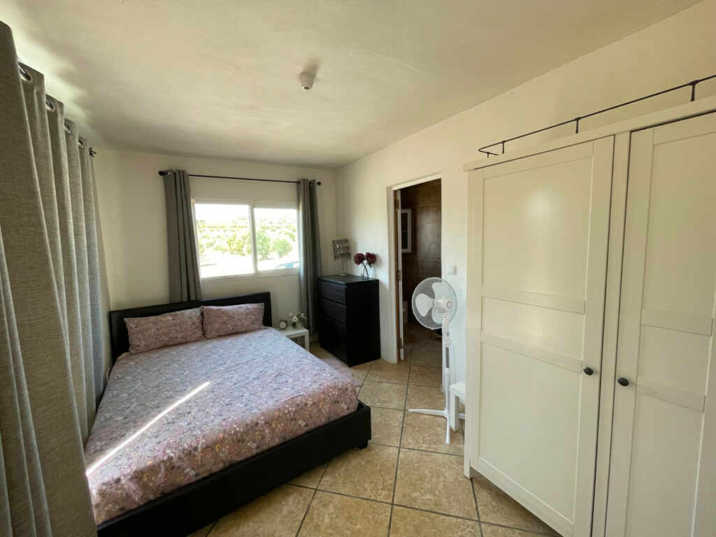 Detached Villa Millena Alicante - image 10