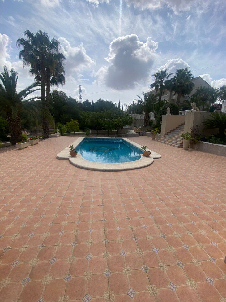 Detached Villa Algorfa Alicante - image 10