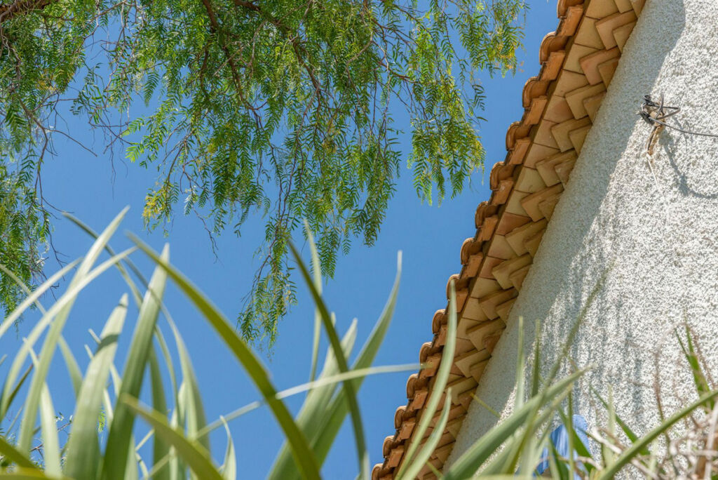 Detached Villa El Campello Alicante - image 10