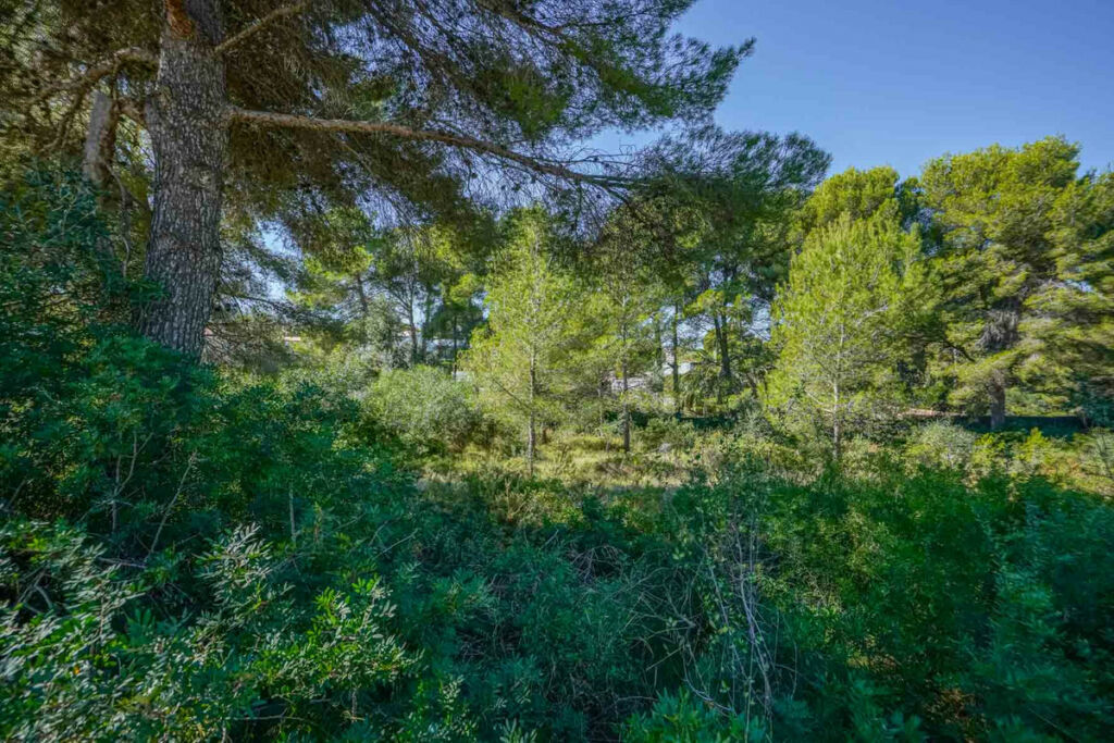 Residential Plot Javea Alicante - image 11