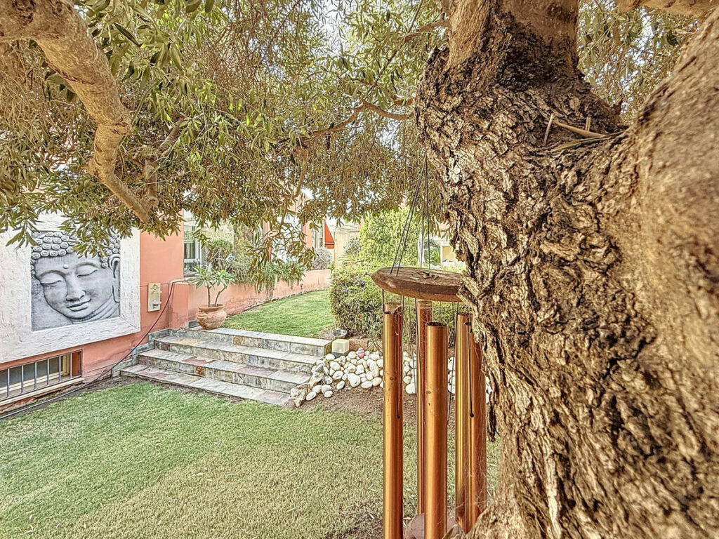 Detached Villa Torre del Mar Málaga - image 11