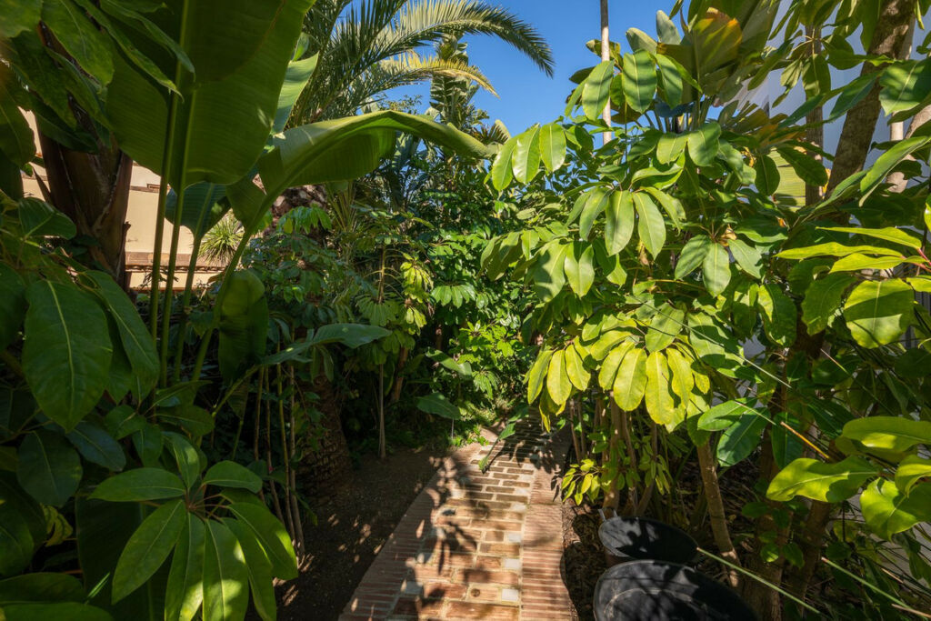 Detached Villa Marbesa Málaga - image 11
