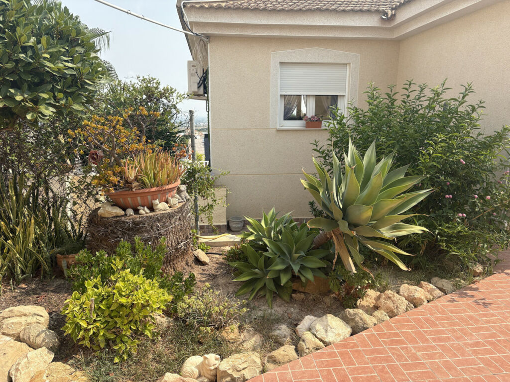 Detached Villa Algorfa Alicante - image 11