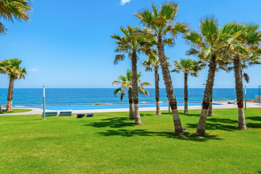 Middle Floor Apartment Punta Prima Alicante - image 11
