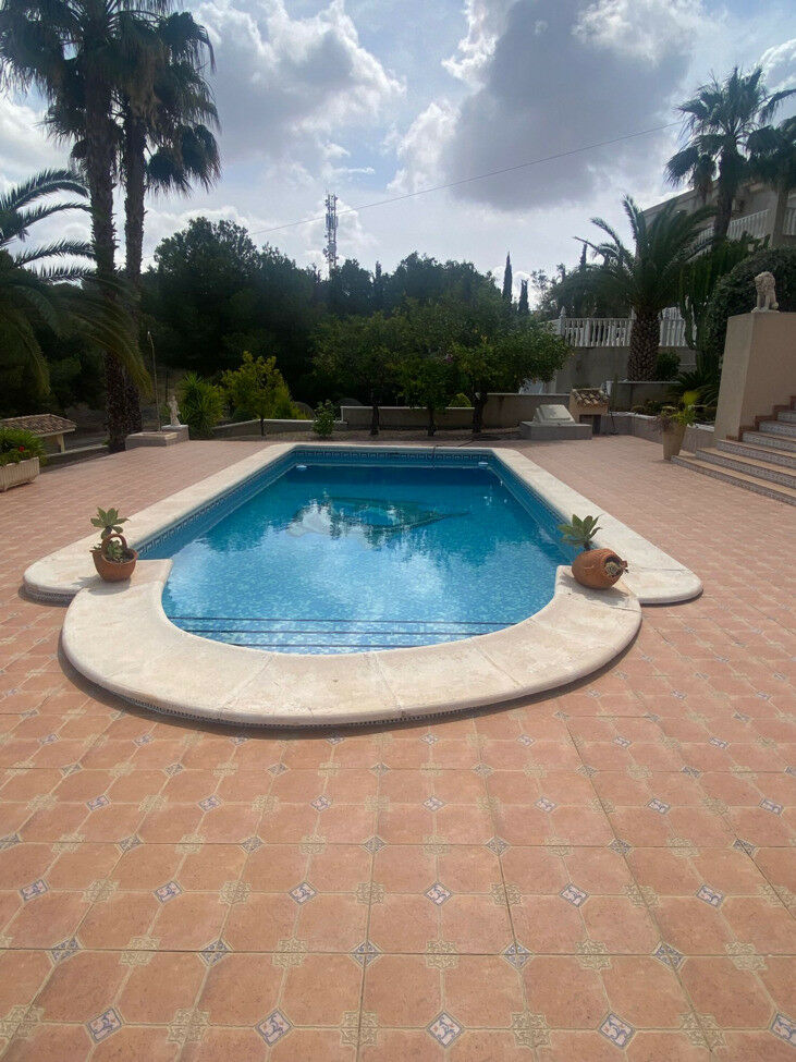 Detached Villa Algorfa Alicante - image 11