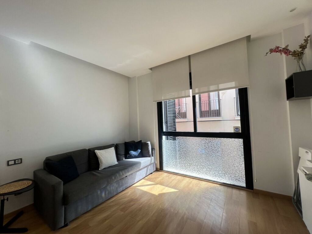 Middle Floor Studio Málaga Centro Málaga - image 12