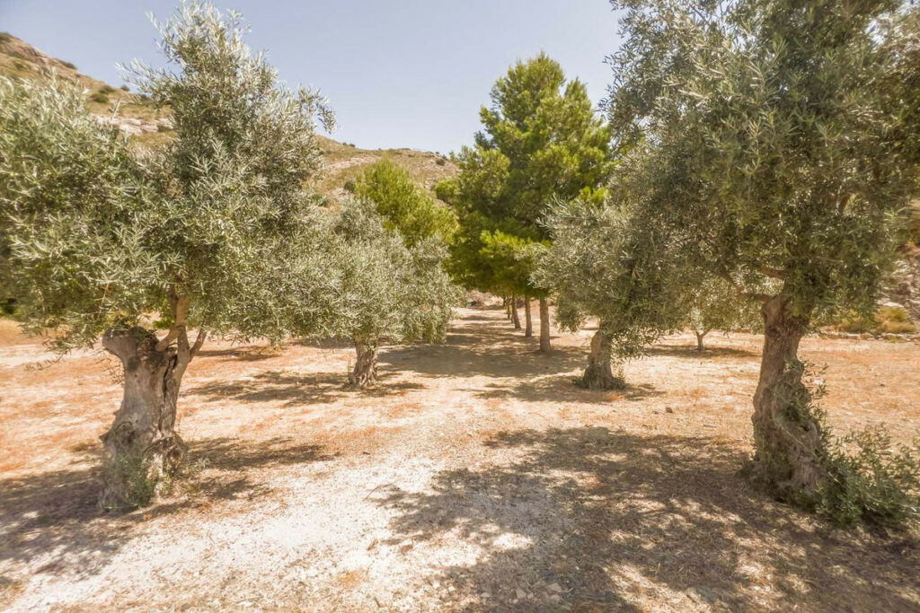 Residential Plot Coín Málaga - image 12