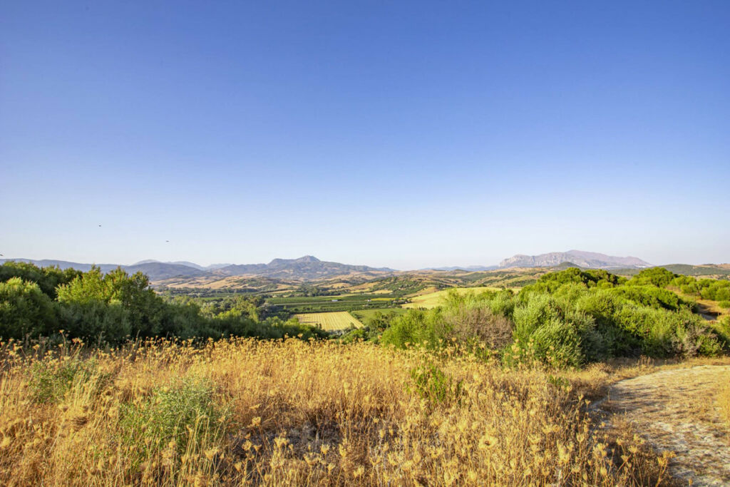 Finca - Cortijo Jimena de la Frontera Cádiz - image 40