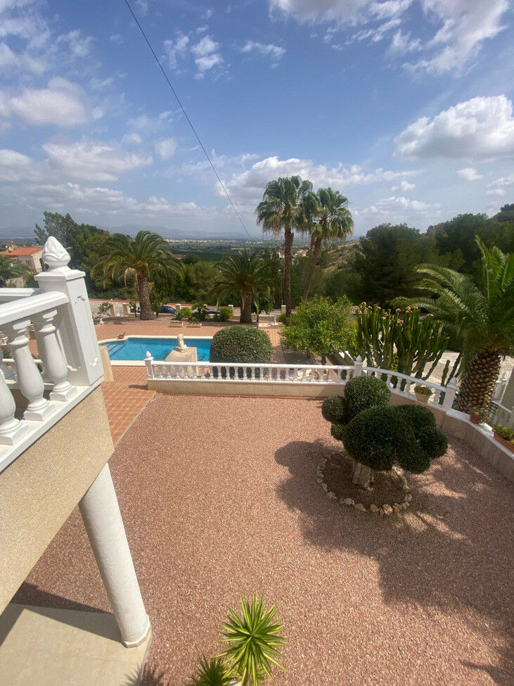 Detached Villa Algorfa Alicante - image 12