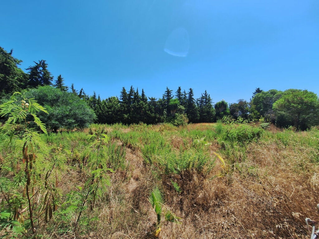 Residential Plot Atalaya Málaga - image 13