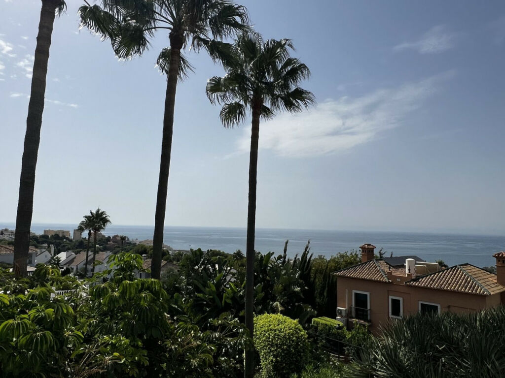 Detached Villa Estepona Málaga - image 13