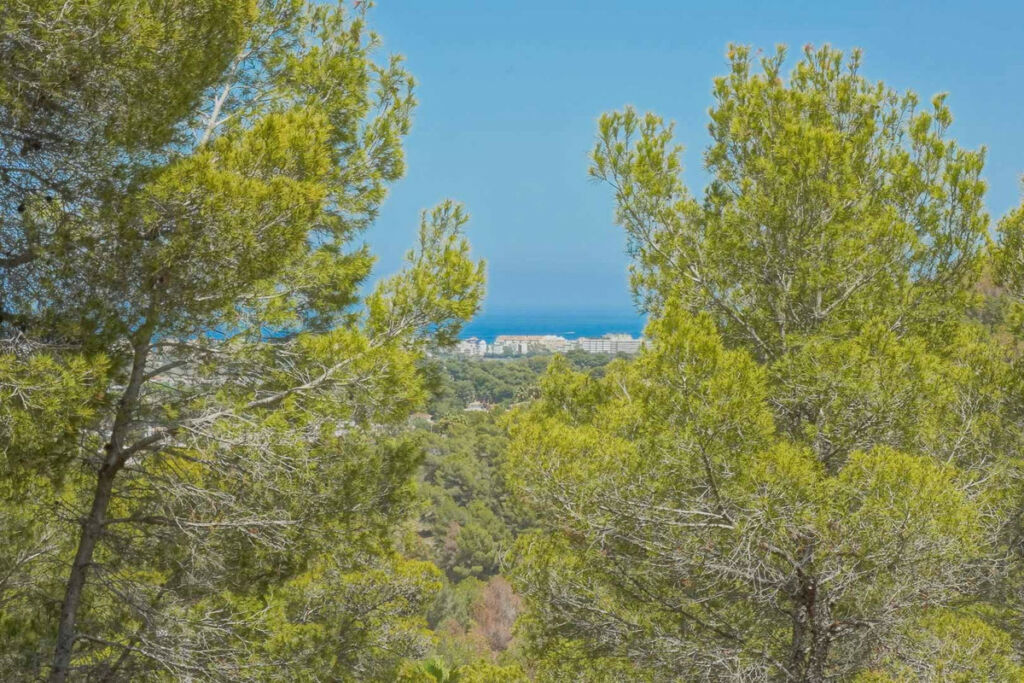 Land Javea Alicante - image 13
