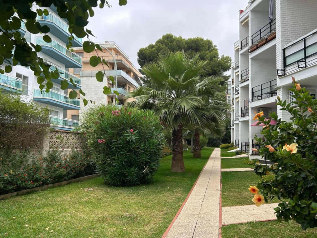 Ground Floor Apartment Benalmadena Málaga - image 10