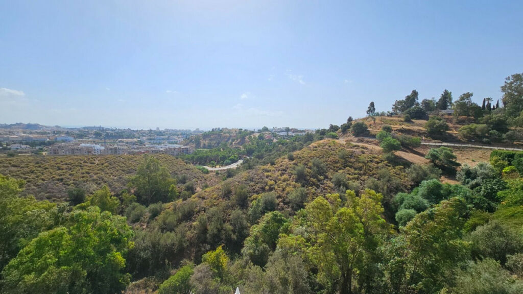 Detached Villa Campo Mijas Málaga - image 19