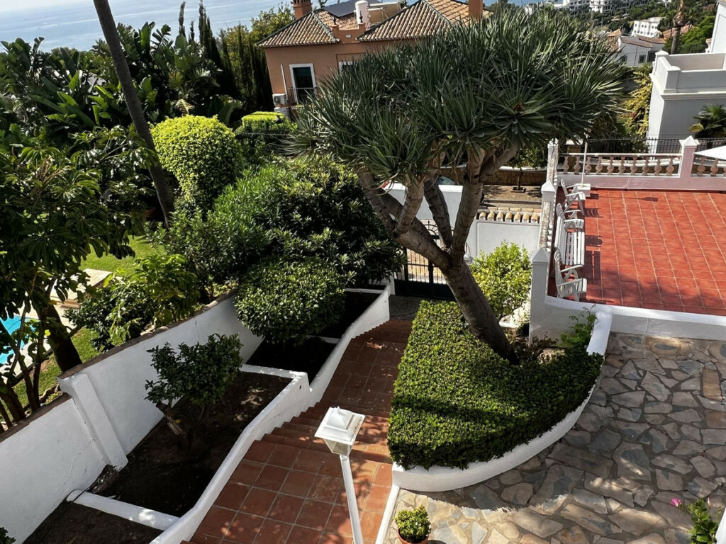 Detached Villa Estepona Málaga - image 14