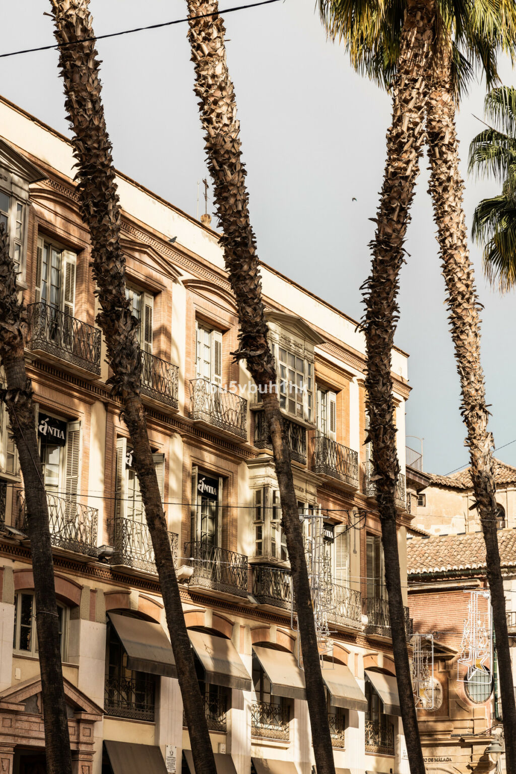 Ground Floor Apartment Málaga Málaga - image 15