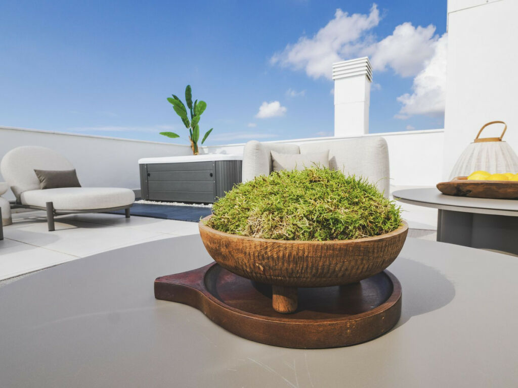 Penthouse Duplex Higueron Málaga - image 16