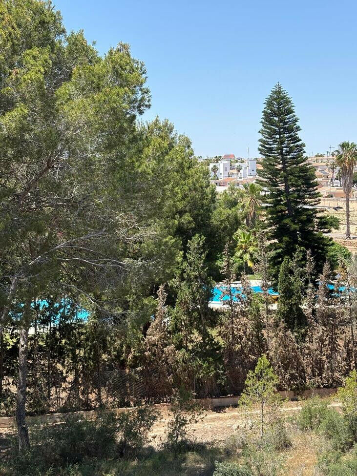 Middle Floor Apartment Lo Pepin Alicante - image 16