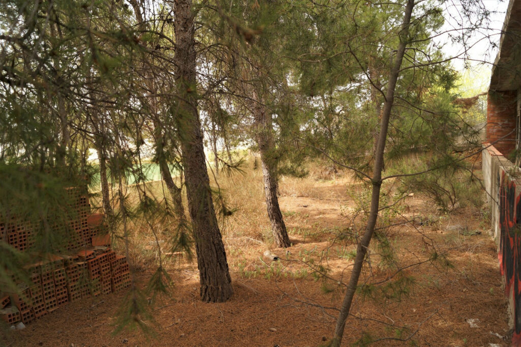 Finca - Cortijo Salinas Alicante - image 16