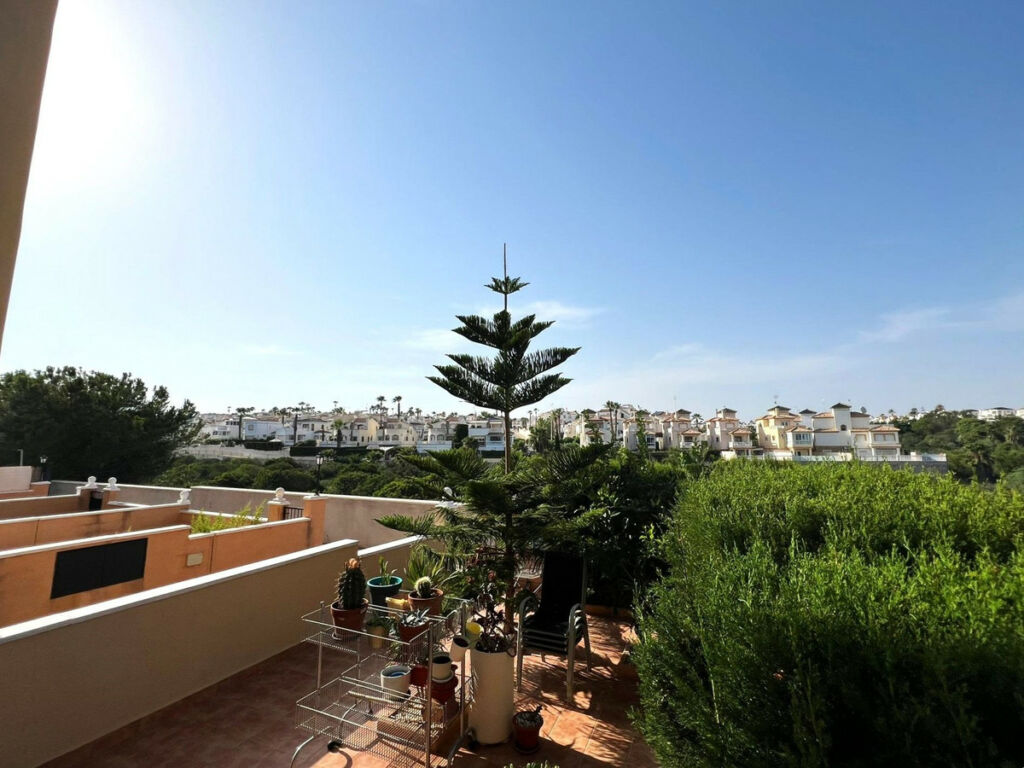 Ground Floor Apartment Orihuela Costa Alicante - image 17