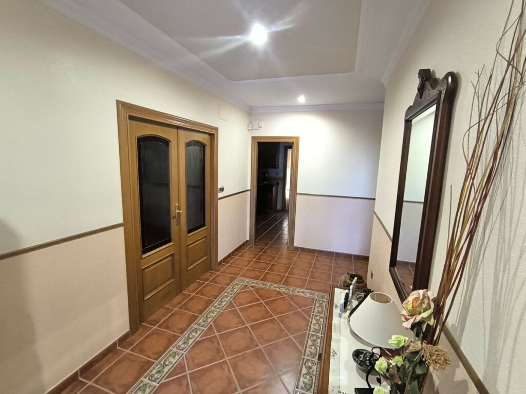 Detached Villa Yecla Murcia - image 17