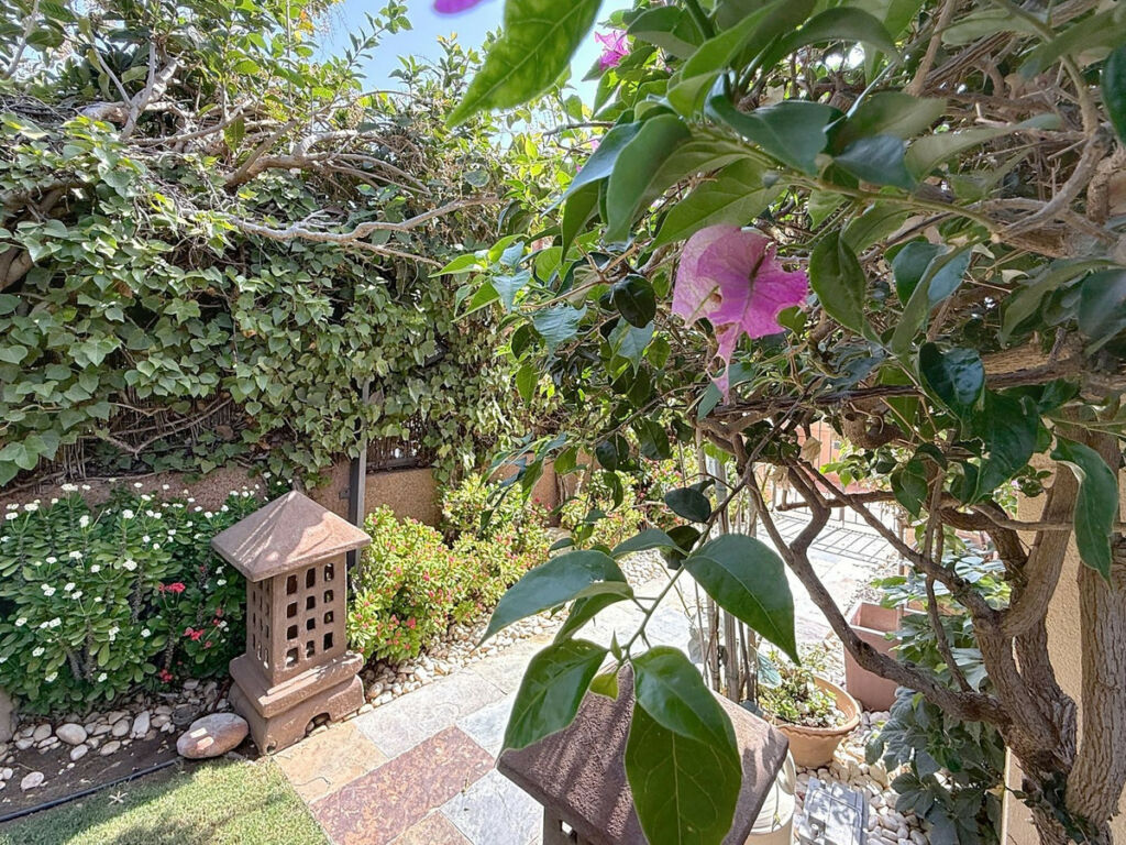 Detached Villa Torre del Mar Málaga - image 17