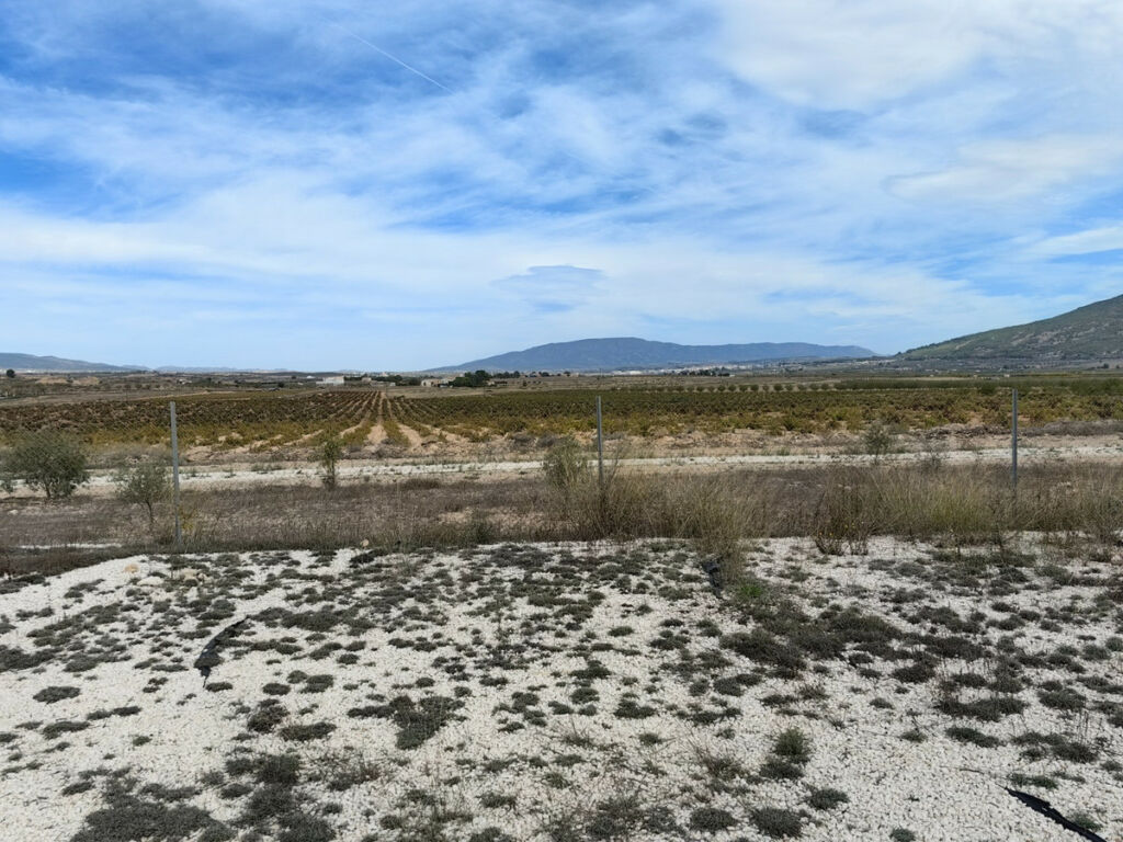 Detached Villa Pinoso Alicante - image 18