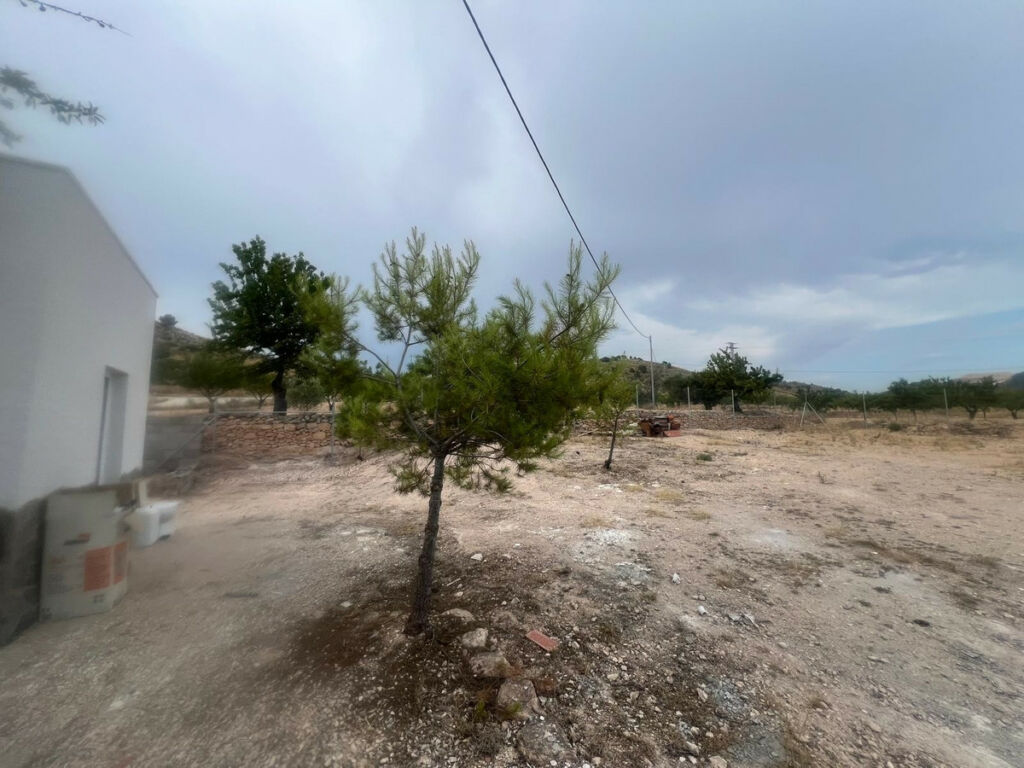 Detached Villa La Solana Alicante - image 17