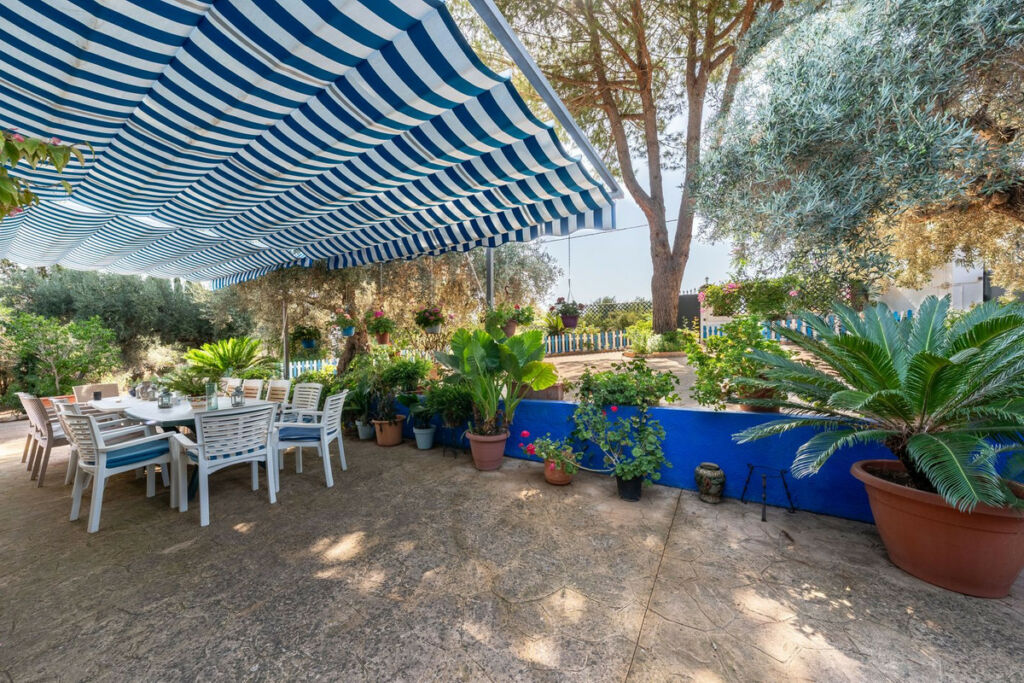 Finca - Cortijo Coín Málaga - image 18