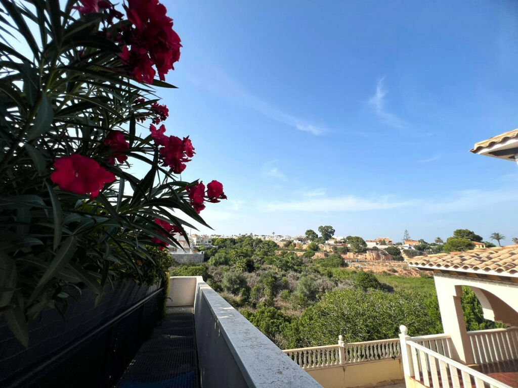 Ground Floor Apartment Orihuela Costa Alicante - image 18