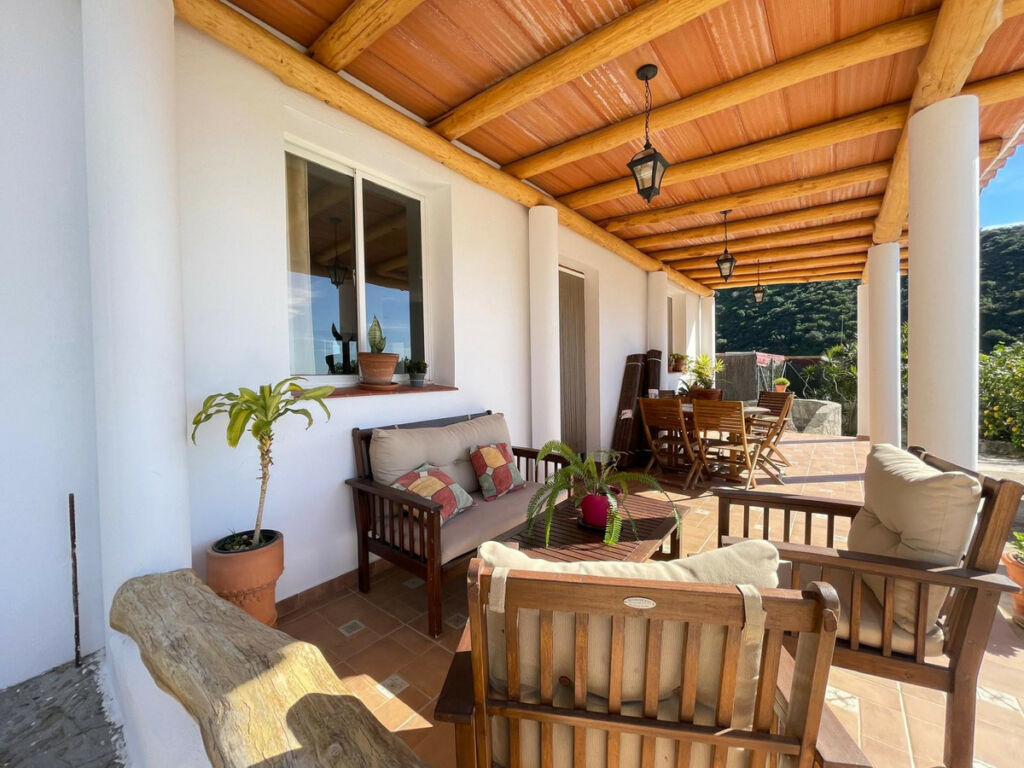 Farm Estepona Málaga - image 19