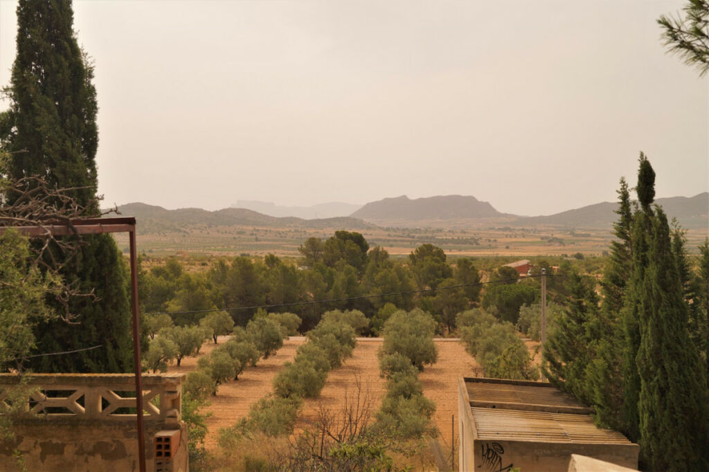 Finca - Cortijo Salinas Alicante - image 19