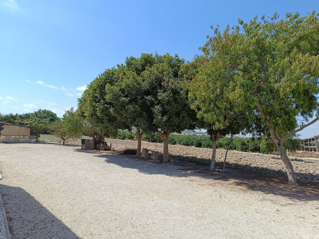 Finca - Cortijo Daya Vieja Alicante - image 19