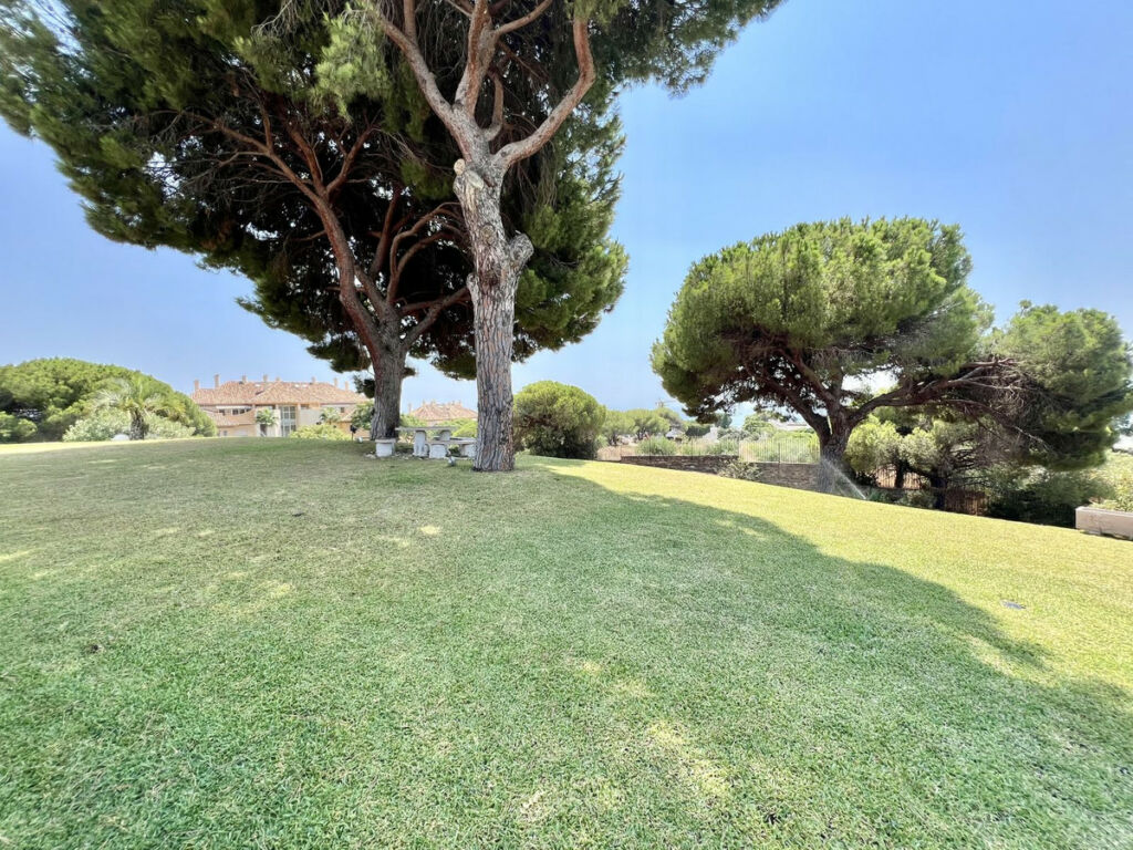 Detached Villa Elviria Málaga - image 3