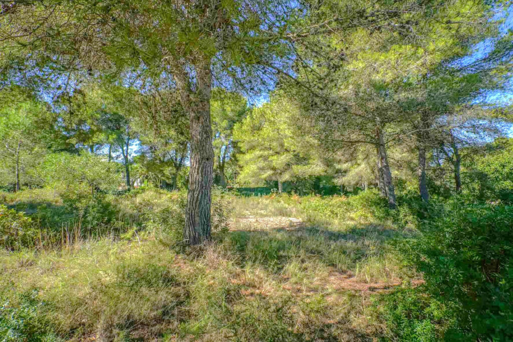 Residential Plot Javea Alicante - image 2