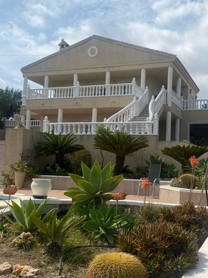 Detached Villa Algorfa Alicante - image 2
