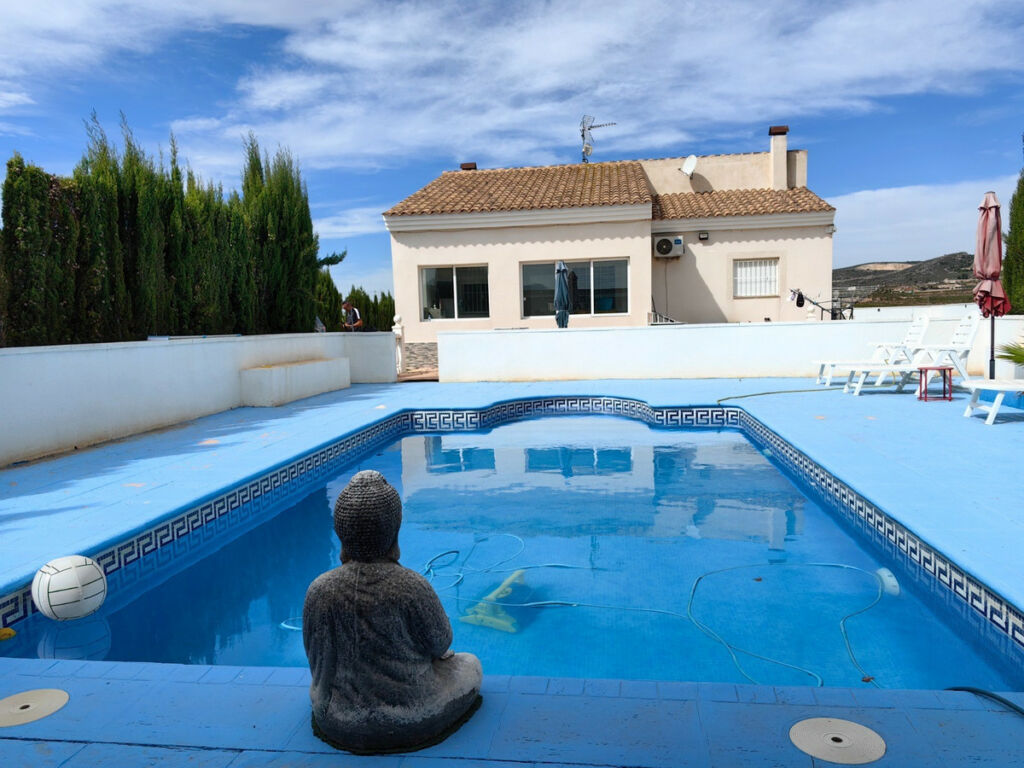 Detached Villa Pinoso Alicante - image 2