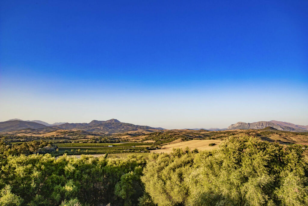 Finca - Cortijo Jimena de la Frontera Cádiz - image 2