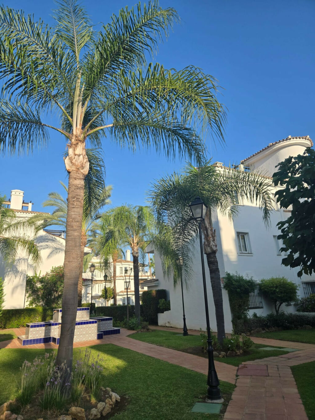 Ground Floor Apartment Marbella Málaga - image 20