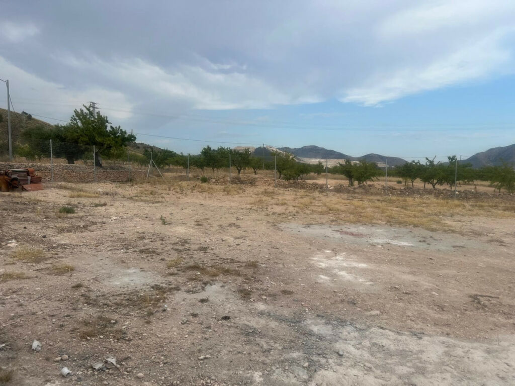 Detached Villa La Solana Alicante - image 20