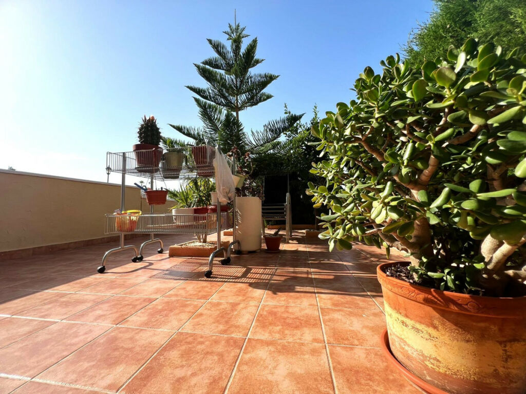 Ground Floor Apartment Orihuela Costa Alicante - image 20