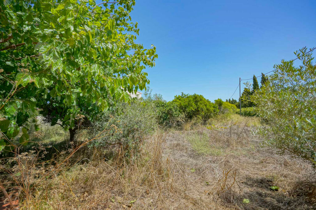 Detached Villa Javea Alicante - image 20