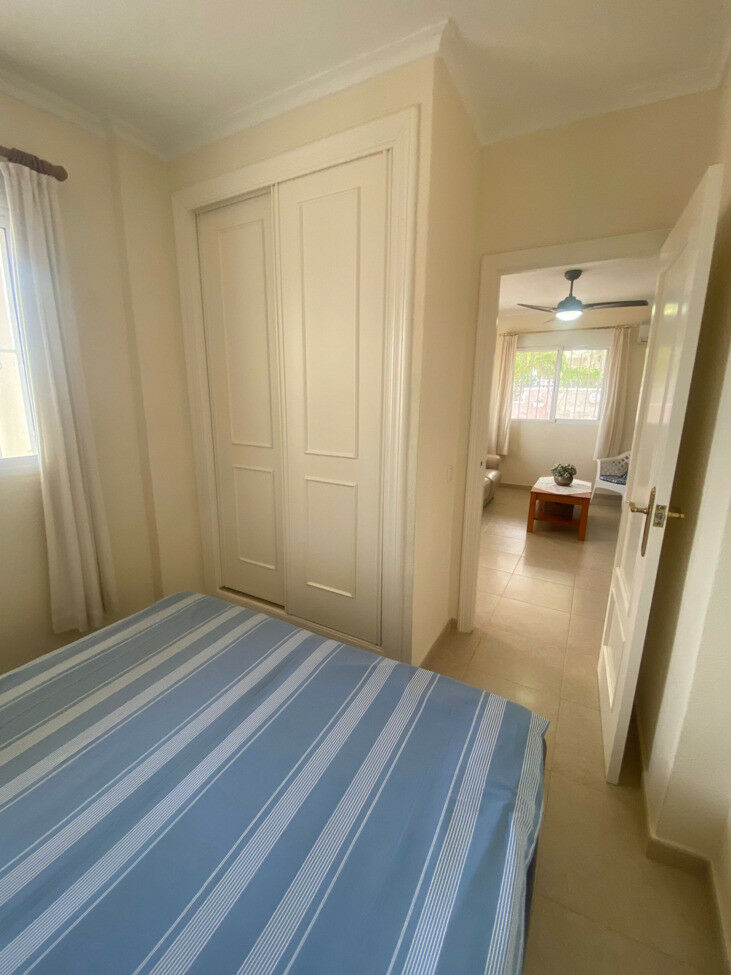 Detached Villa Algorfa Alicante - image 20