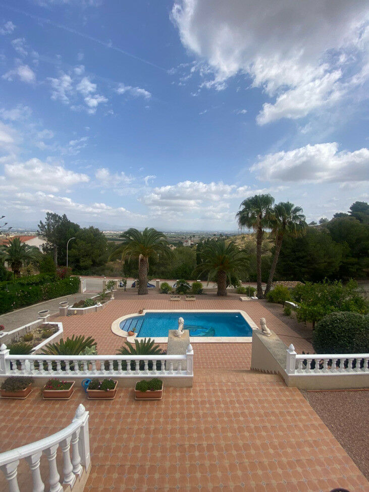 Detached Villa Algorfa Alicante - image 21