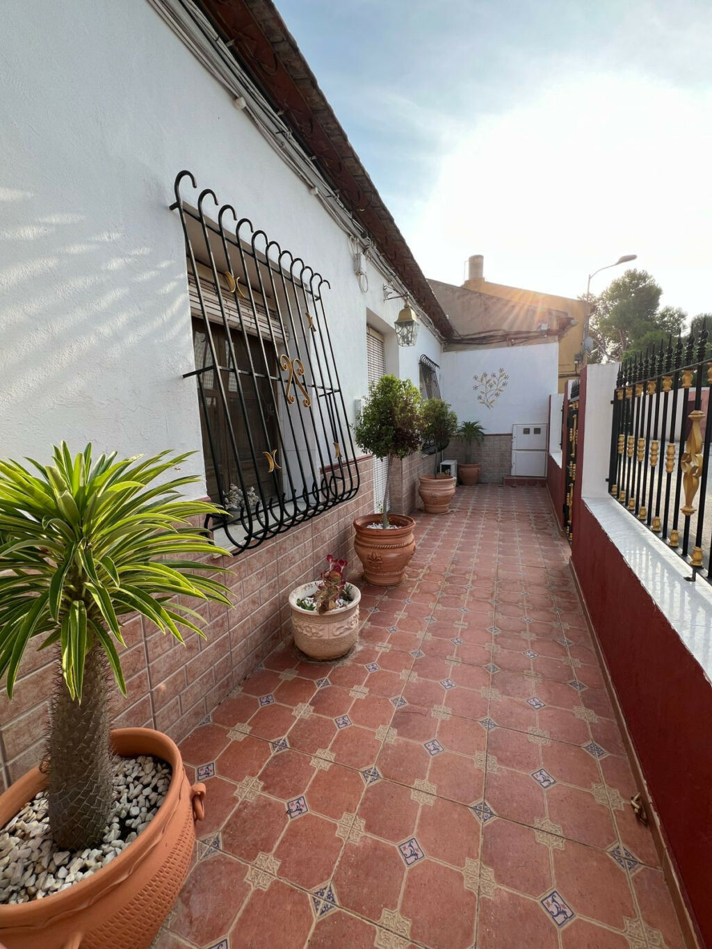 Finca - Cortijo Rafal Alicante - image 21